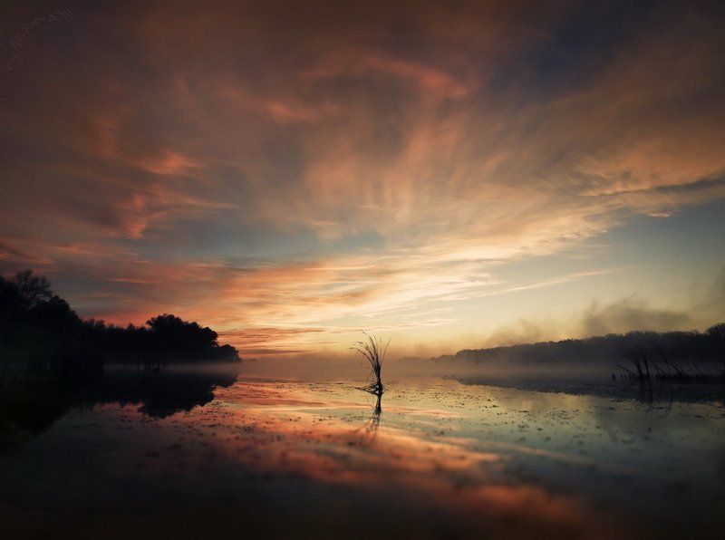 тишина, утро, рассвет, озеро, камыш Собирая тишину.photo preview