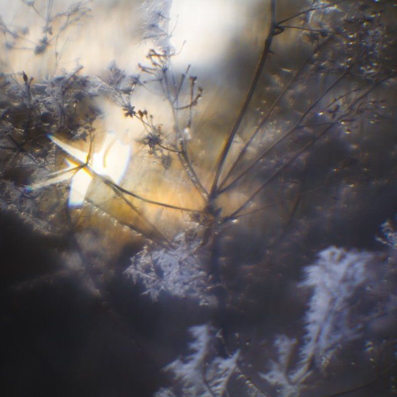 монокль, иней, трава, солнце Всякое дыхание... [1]photo preview