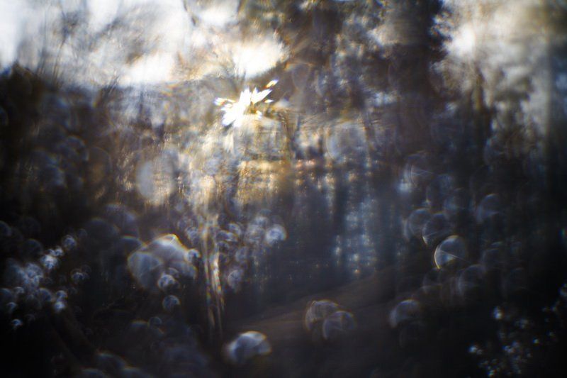 монокль, иней, трава, солнце Всякое дыхание... [3]photo preview