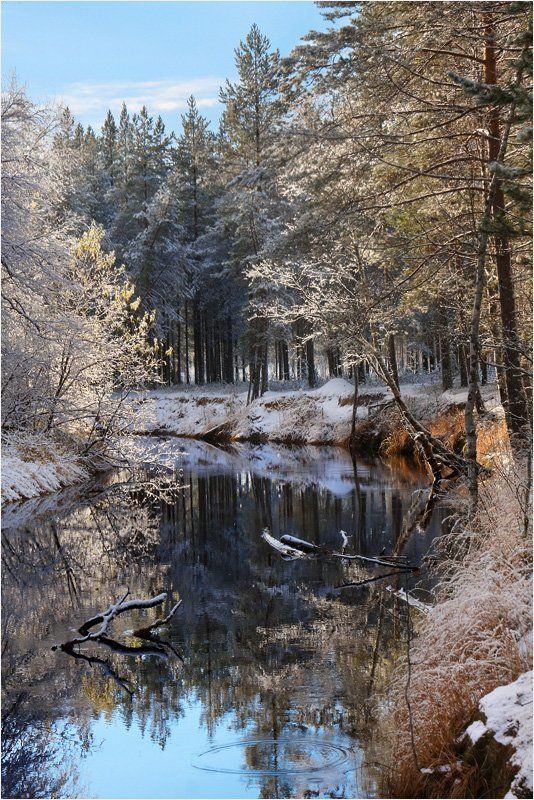 осень, зима Дыхание зимыphoto preview