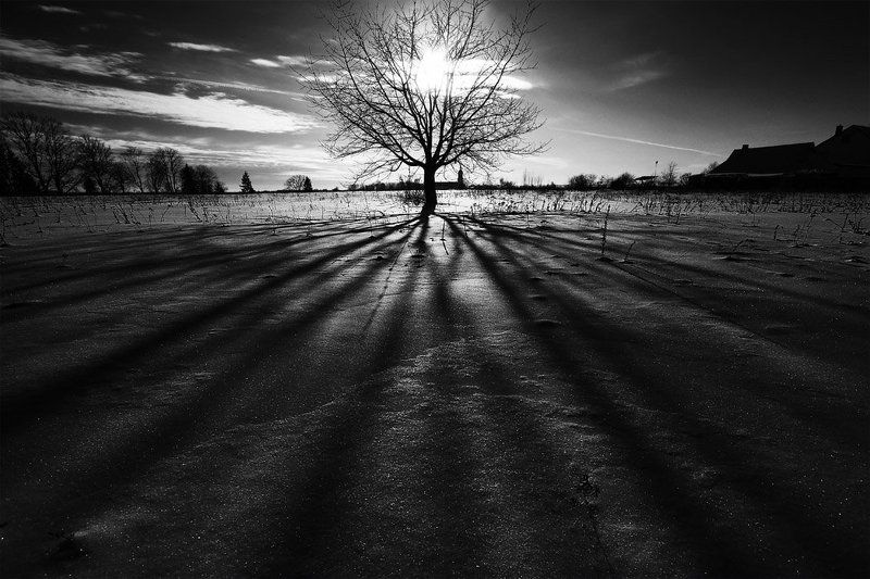 пейзаж, природа ***photo preview