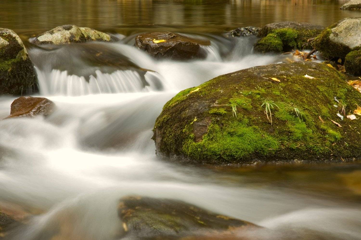 Когда тебя зовут. Автор: Ольга Шуть приморье, пидан, зовут, домой, Ольга Шуть