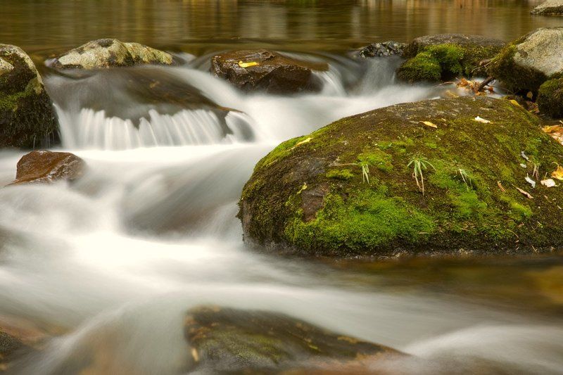 приморье, пидан, зовут, домой Когда тебя зовутphoto preview
