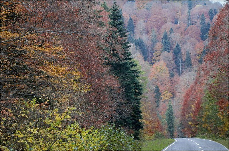 Осень в горах 1photo preview