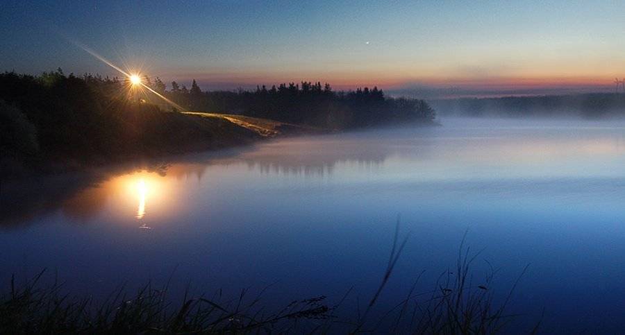 , Дмитрий Демишев