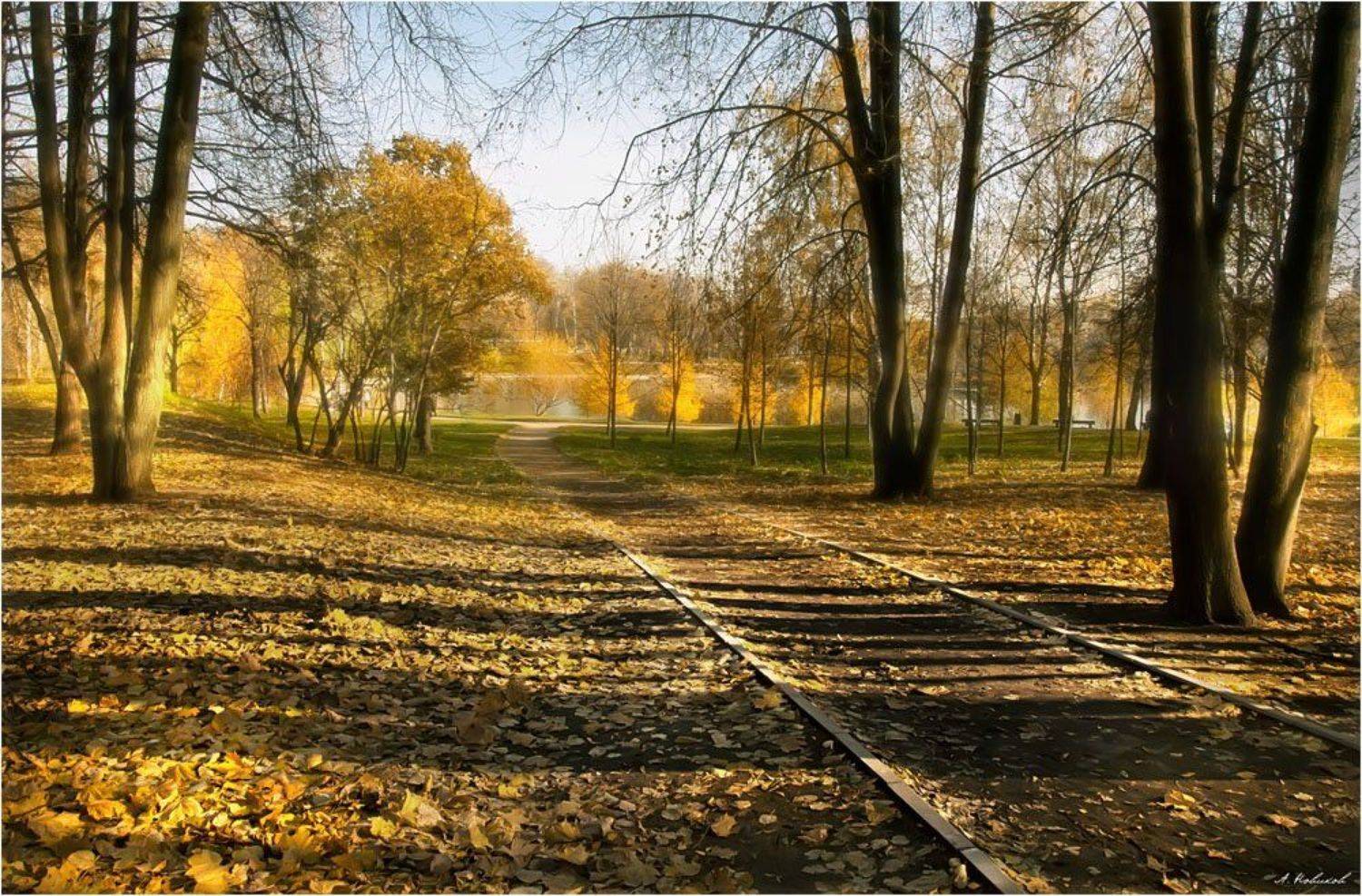 Осенние зарисовки. Автор: Алексей Новиков , Алексей Новиков