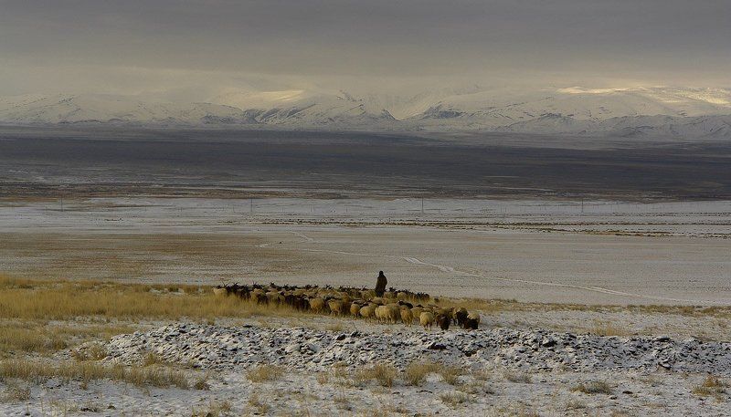 горный, алтай \