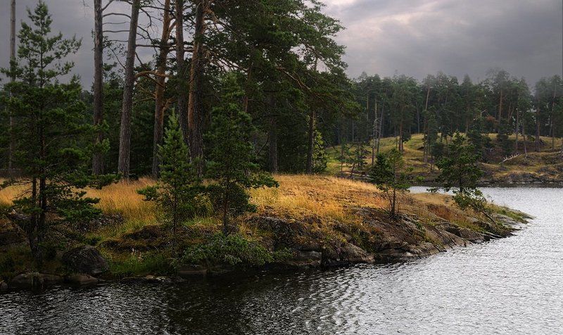 остров, валаам, берег, озеро, небо, сосны, , ладога Остров Валаамphoto preview