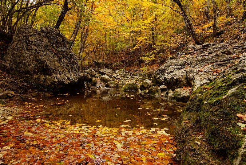 золото Крымаphoto preview