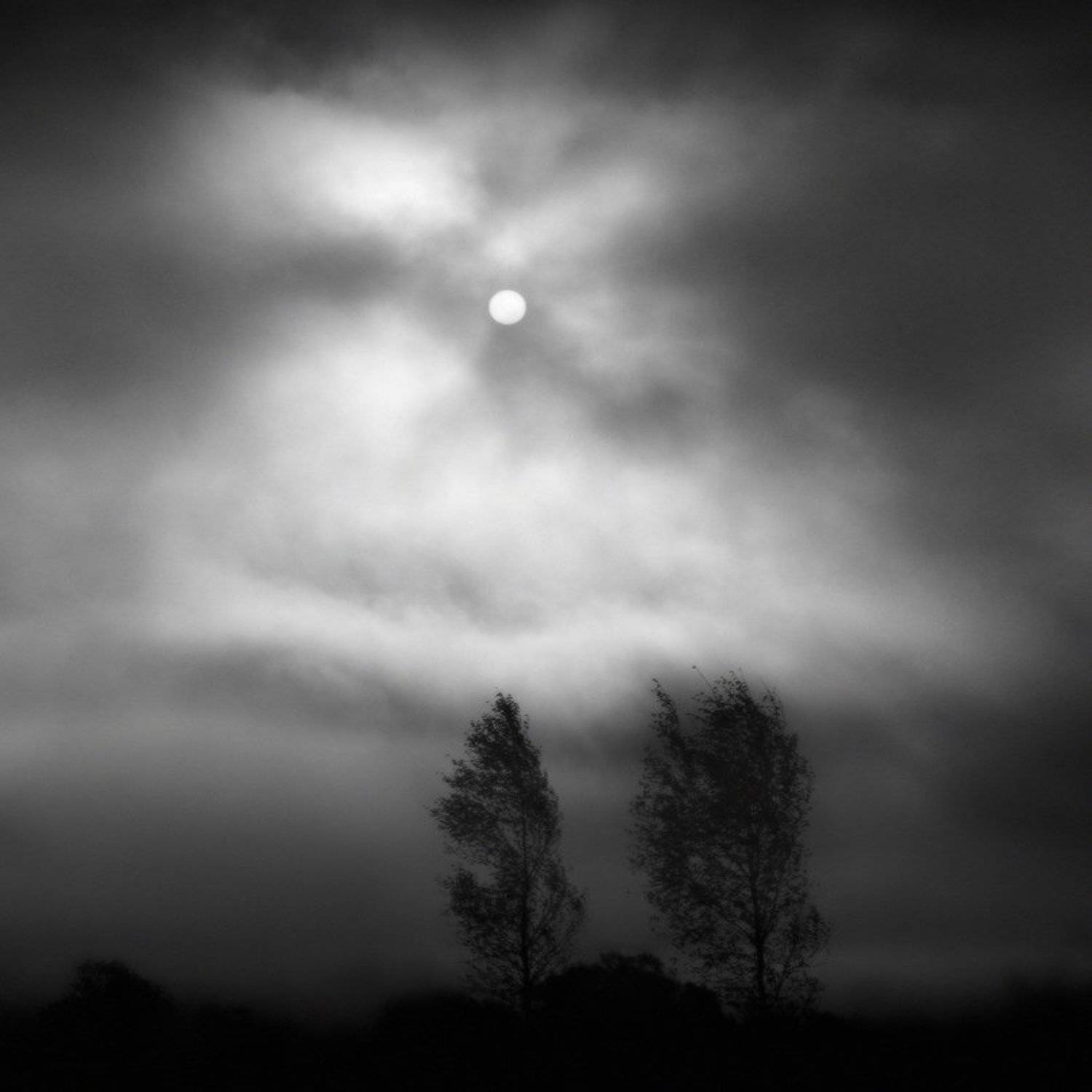 Утренний туман и солнце. Октябрь.. Автор: Viktor Kalechenkov , Viktor Kalechenkov