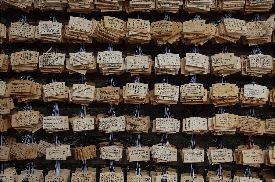 мейдзи-дзингу, токио, Дмитрий