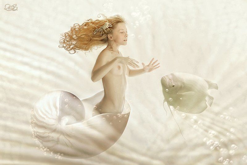 тайны неонаутилусаphoto preview