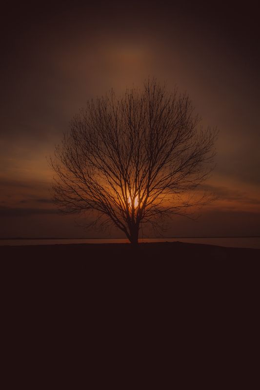 латвия саласпилс природа закат цвет  Покой.photo preview