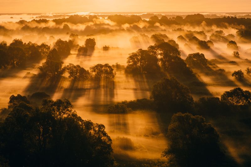 Встреча солнцаphoto preview