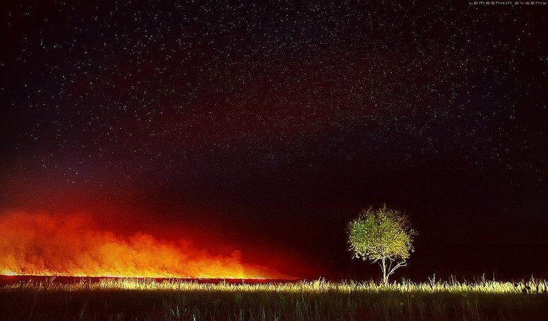 Страшная силаphoto preview