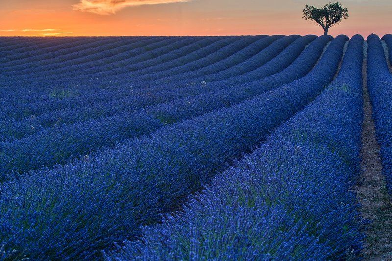 Провансphoto preview