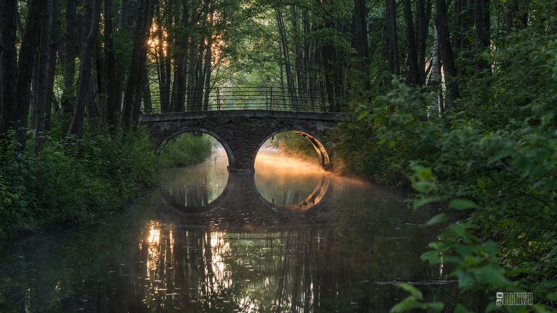 рассвет парк свислочь дрозды минск заря туман отражение мост свет Рассвет в л/п Дроздыphoto preview
