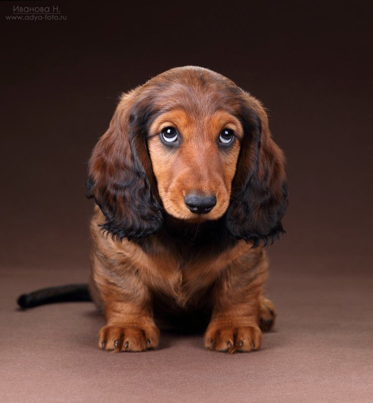 Вместо тысячи слов..photo preview