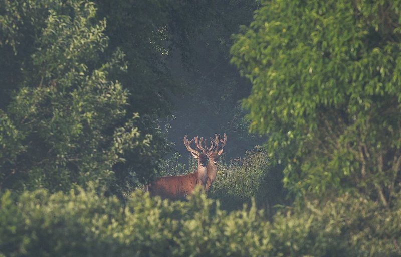 Мгновенияphoto preview