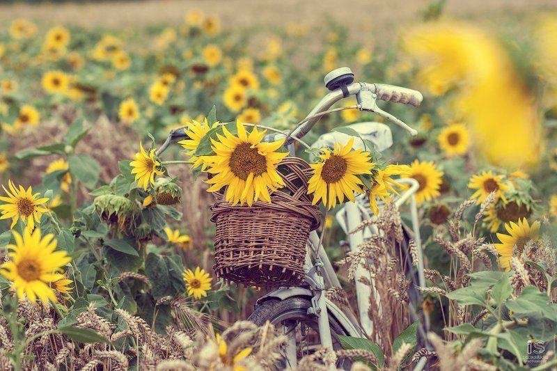 Летоphoto preview