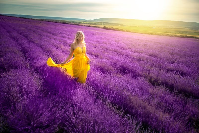 Лавандаphoto preview