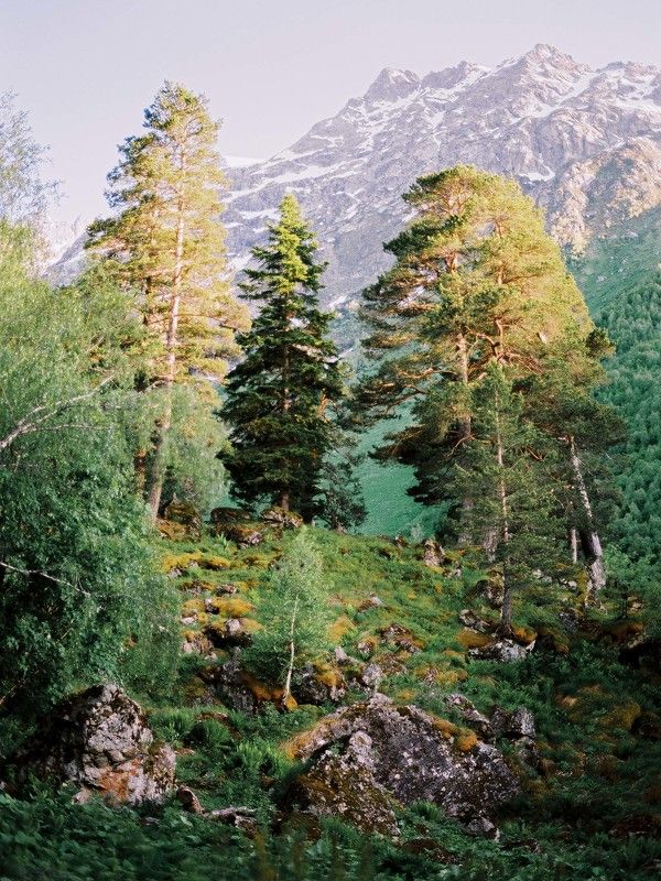 кодак эктар Архызphoto preview