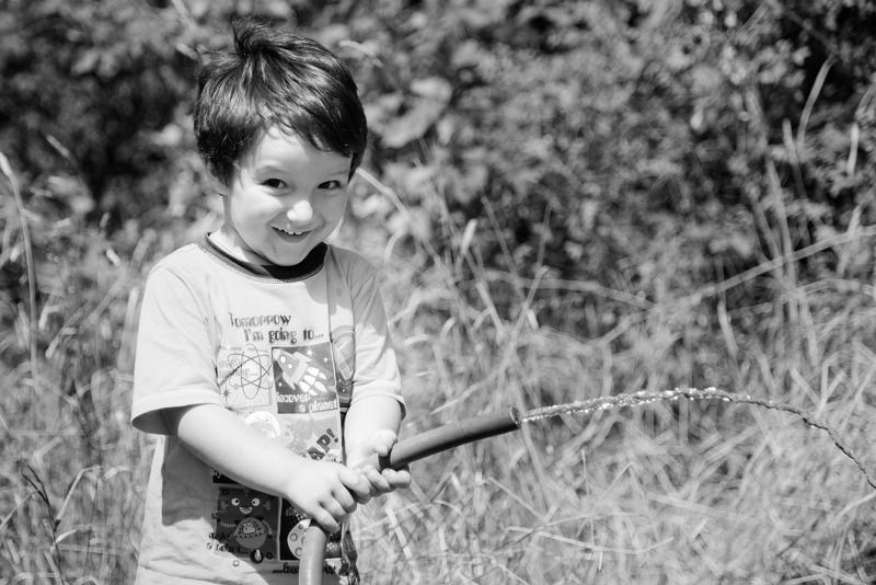 Лето, жара, помощник хочет пить)photo preview