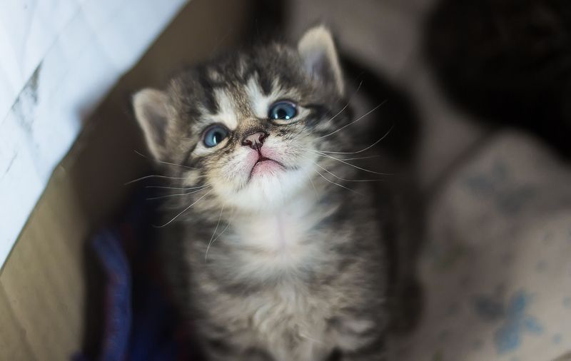 Маленький, но очень важный. фото превью