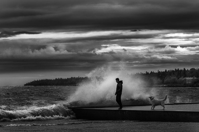 Штормитphoto preview