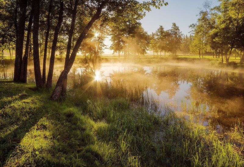 Sweet summer morningphoto preview