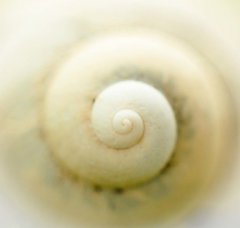 Истокphoto preview