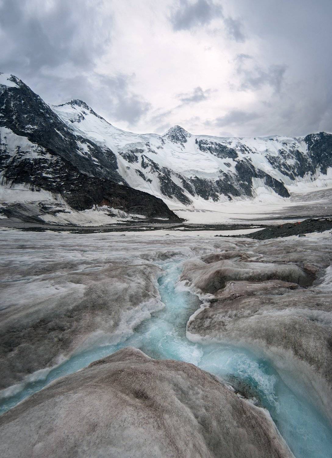 белуха, алтай, Е. Никитин