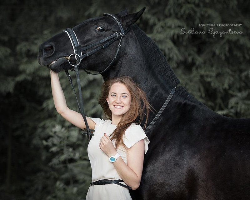 horse, portrait, портрет, лошадь, лошади, black Ира и Игримphoto preview