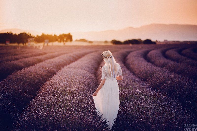 лаванда, лавандовыеполя, франция, прованс Валентинаphoto preview