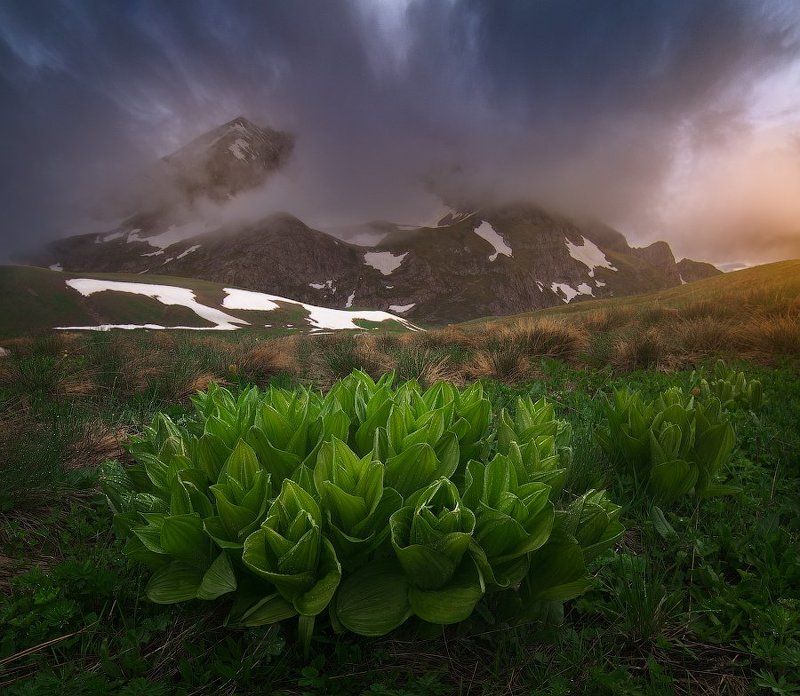 Оштенphoto preview