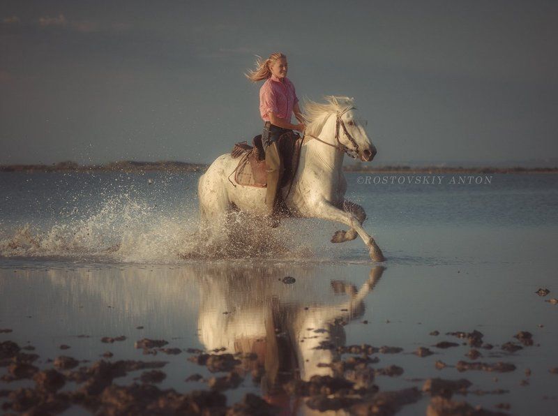 Camargue, Камарг, Фототур Фототур в Камаргphoto preview