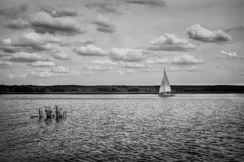 лето,озеро,берег,яхта Кораблик ...photo preview