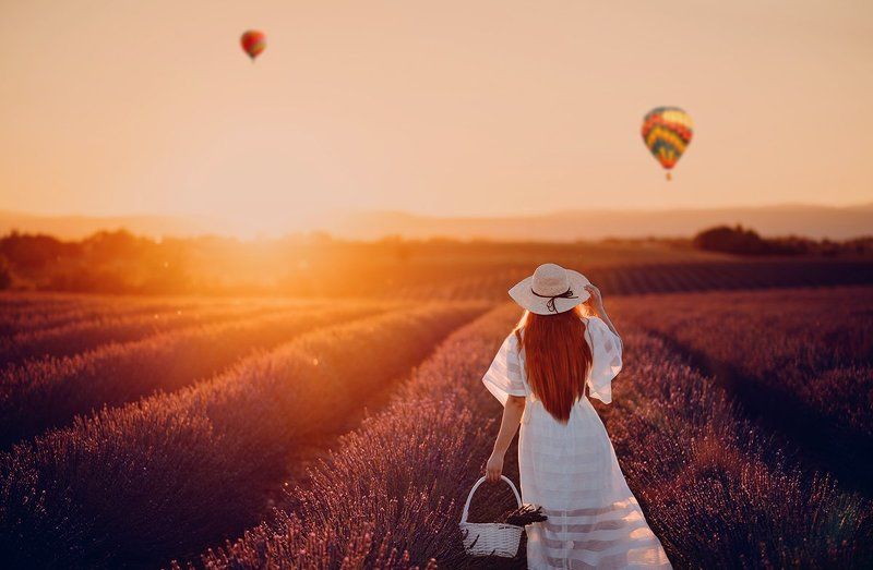 лаванда, лавандовыеполя, франция, прованс Дарьяphoto preview