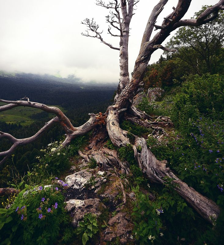 На краюphoto preview