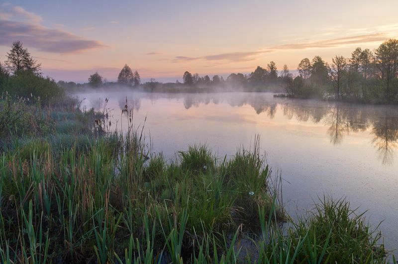 Светалосьphoto preview