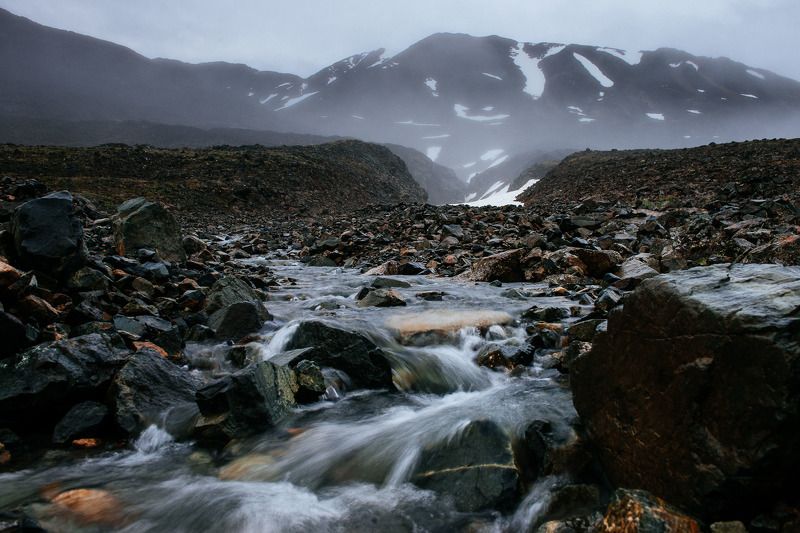 неожиданная встреча ***photo preview