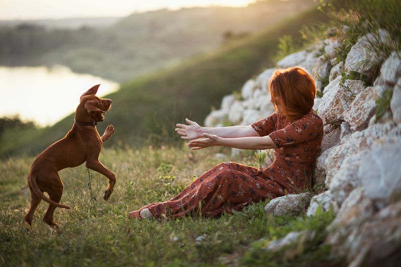 собака, друг, дружба, счастье, любовь, преданность, верность Рыжая любовь...) фото превью