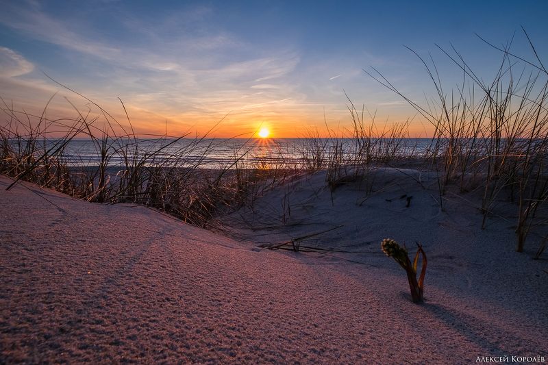 калининградская область, россия, куршская коса, балтийское море, закат, пляж, море, природа, пейзаж, kaliningrad region, russia, curonian spit, baltic sea, sunset, beach, sea, nature, landscape Балтийский закат 3photo preview