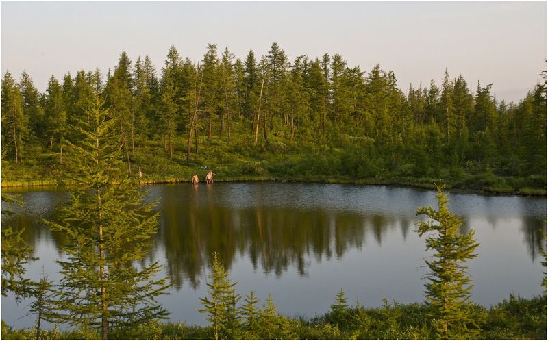 Таймыр,лето,солнце Летняя пораphoto preview