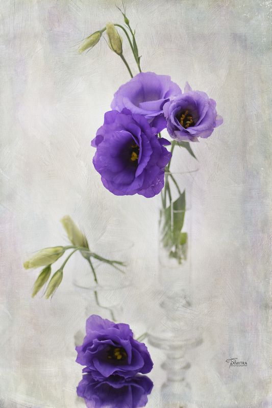 Летнее настроениеphoto preview