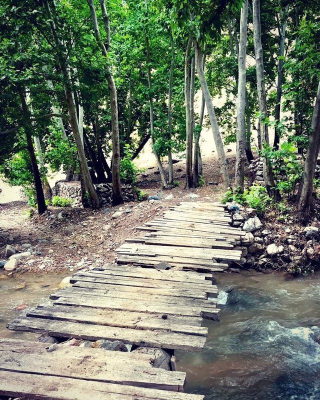 Мостикphoto preview