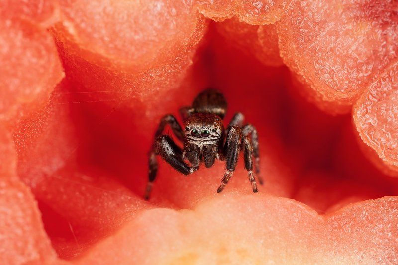 На сценеphoto preview