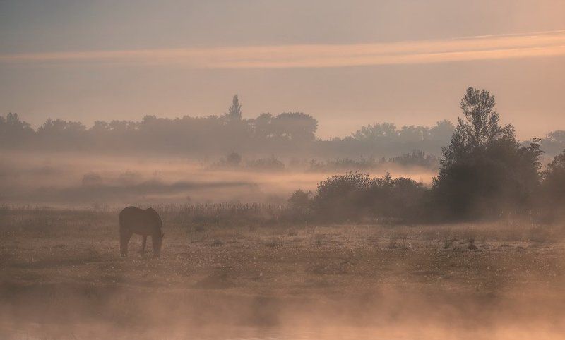 Растворенные во времениphoto preview