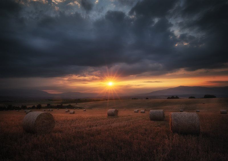 The Lightphoto preview