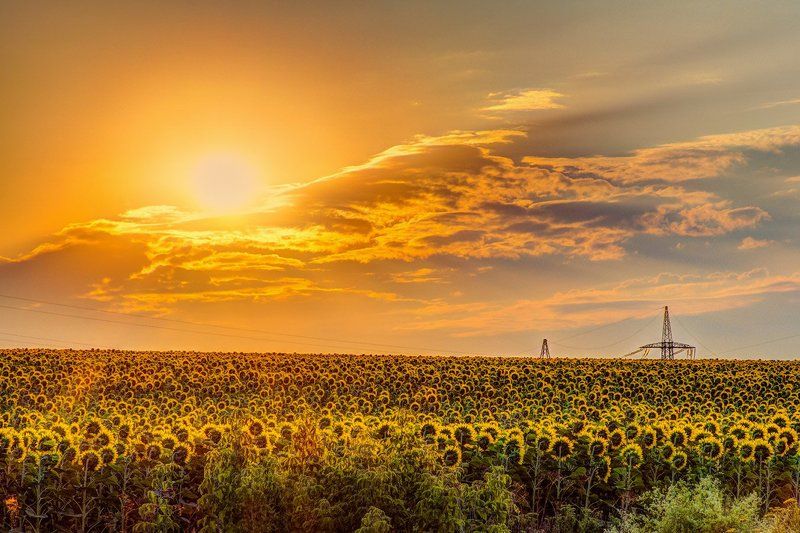 Утроphoto preview